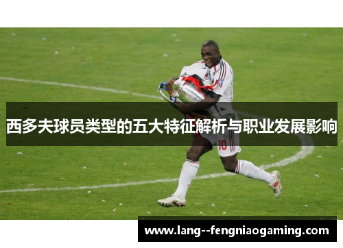 西多夫球员类型的五大特征解析与职业发展影响