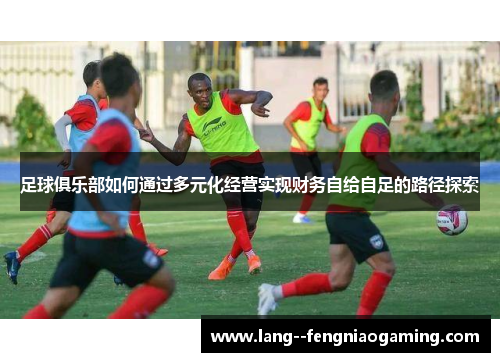 足球俱乐部如何通过多元化经营实现财务自给自足的路径探索 足球俱乐部如何通过多元化经营实现财务自给自足的路径探索