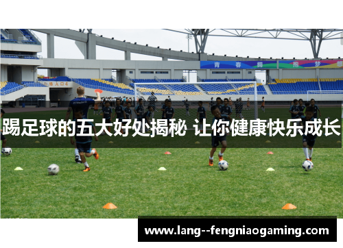 踢足球的五大好处揭秘 让你健康快乐成长 踢足球的五大好处揭秘 让你健康快乐成长