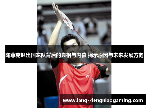 陶菲克退出国家队背后的真相与内幕 揭示原因与未来发展方向