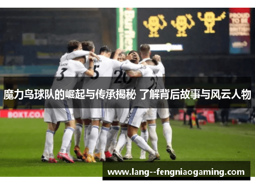 魔力鸟球队的崛起与传承揭秘 了解背后故事与风云人物