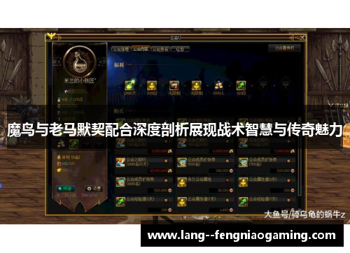 魔鸟与老马默契配合深度剖析展现战术智慧与传奇魅力