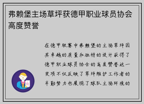 弗赖堡主场草坪获德甲职业球员协会高度赞誉 弗赖堡主场草坪获德甲职业球员协会高度赞誉