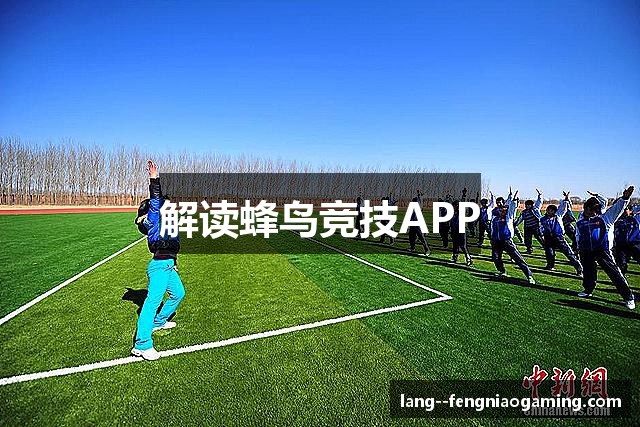 解读蜂鸟竞技APP